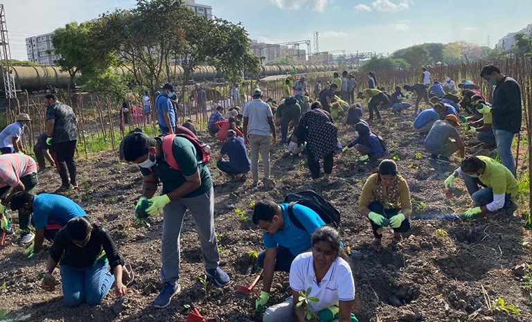 Plantation - Sustainability