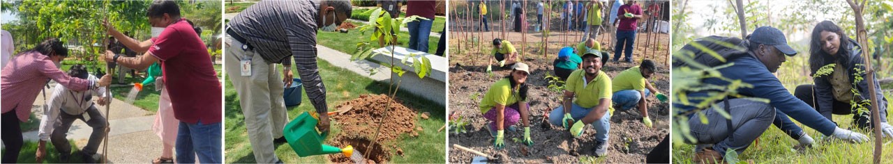 Sustainability At AZIPL